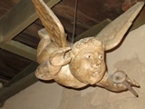AngelCasaCamino