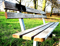 HampsteadBench