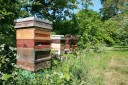 Beehives